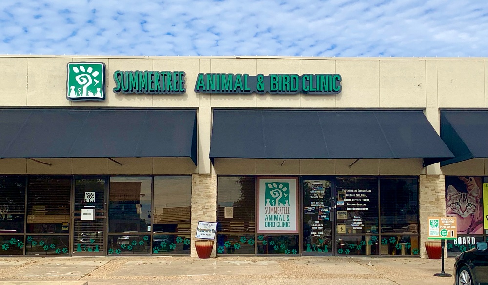 Summertree Animal & Bird Clinic in Farmers Branch, TX