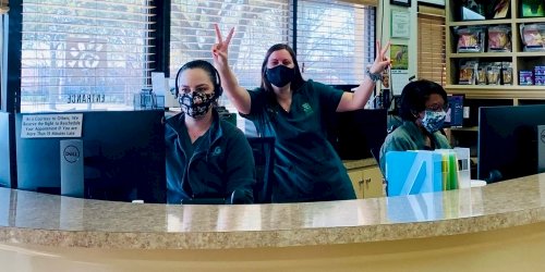 Animal and shop bird clinic